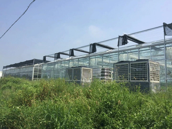 浙江煙草溫室種植大棚恒溫恒濕