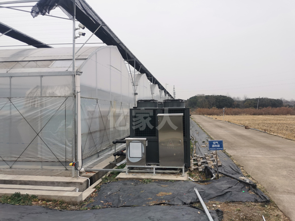 種植園大棚恒溫解決方案