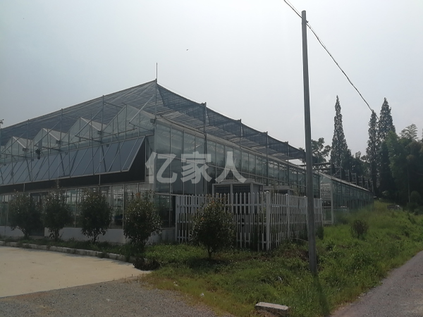 生態(tài)園大棚恒溫解決方案