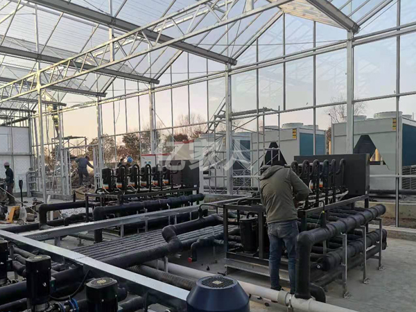 花卉玻璃大棚恒溫解決方案