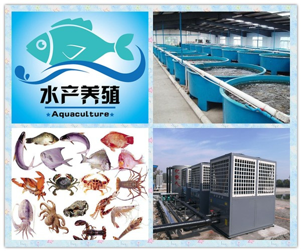 億家人空氣源熱泵在工廠化水產(chǎn)養(yǎng)殖系統(tǒng)中的運用