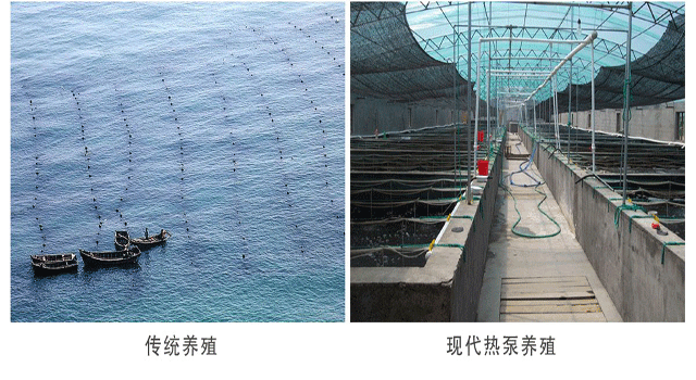 江蘇歐貝空氣能恒溫養(yǎng)殖熱泵節(jié)能效果顯著