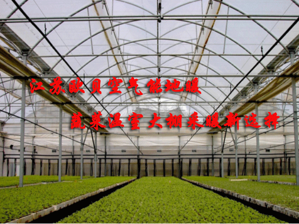 江蘇歐貝空氣源地暖機(jī)為蔬菜溫室大棚供暖