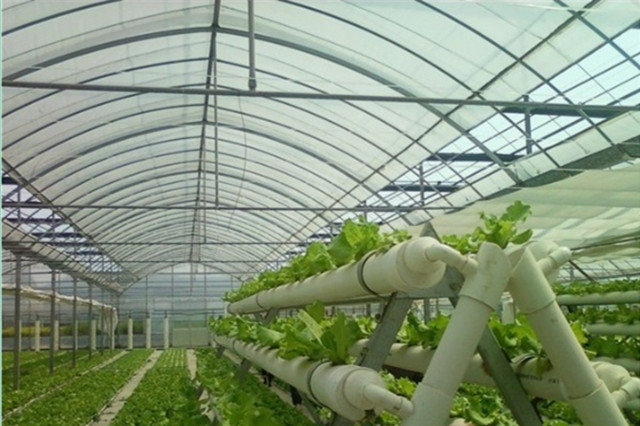 空氣能熱泵為溫室大棚保駕護(hù)航