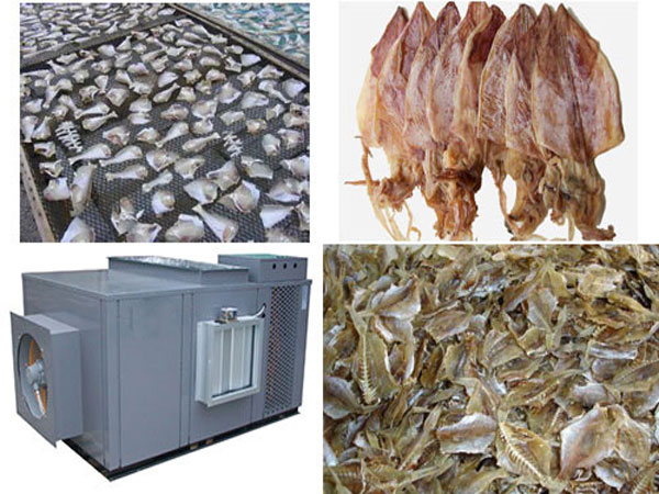 海產(chǎn)品烘干設(shè)備選擇億家人空氣能烘干機