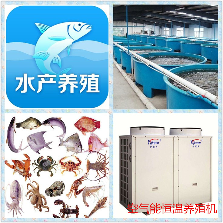 億家人水產養(yǎng)殖恒溫熱泵助力福建養(yǎng)殖業(yè)發(fā)展