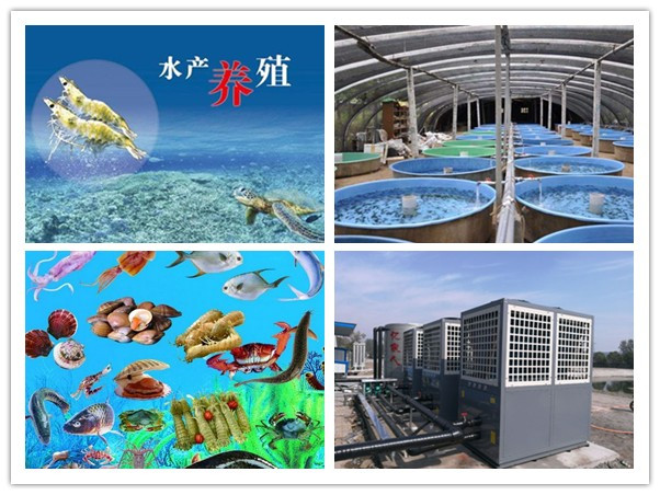 億家人恒溫養(yǎng)殖熱泵的出現(xiàn)給養(yǎng)殖業(yè)帶來生機
