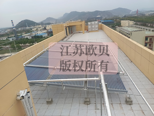 2011-20-8.jpg